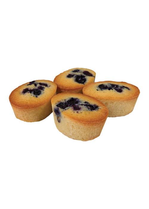 Blueberry Friand
