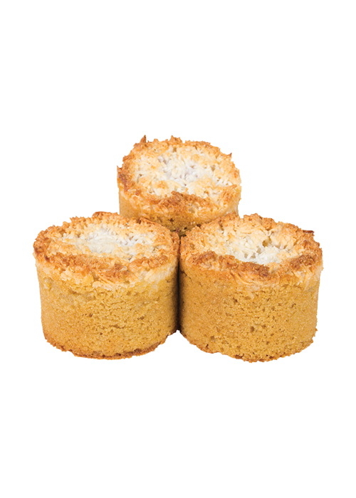 Raspbeery Almond Coconut Tart GF